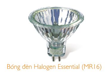 20W Bóng Halogen Essential Philips GU5.3 36D-Có kính chụp